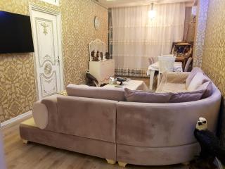 LUXOR Central Baku Apartmen on Nizami Street - Baku - 4