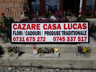 Casa Lucas - Bradu - 5