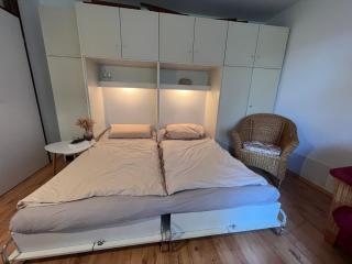 Moderne und zentral gelegene Ferienwohnung in Braunlage mit Rodelpiste und Start Ski Langlauf in 300 Metern Entfernung - Braunlage - 3