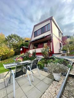Ferienhaus Veronika Odenwald - Brensbach - 9