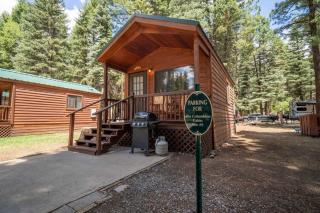 The Columbine Cabin #9 at Blue Spruce RV Park & Cabins - Tuckerville - 0