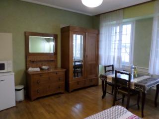 Grande chambre individuelle à lit double dans une maison de Maître de 1904 - Haguenau - 6