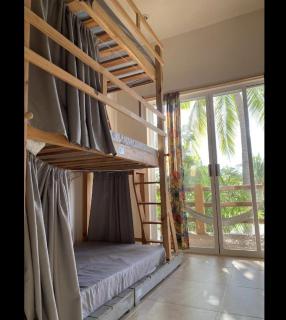 La Palmera Hostel - Puerto Escondido - 0