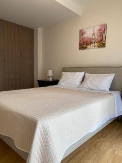 Αρτέμιδα plus Karpenisi Apartment - Karpenisi - 3