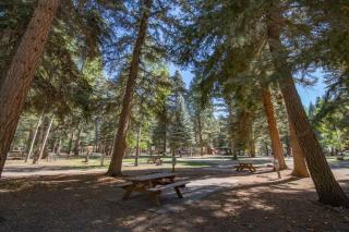 The Blue Spruce Cabin #16 at Blue Spruce RV Park & Cabins - Tuckerville - 1