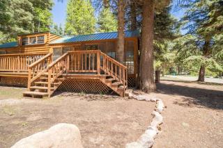 The Cottonwood Cabin #17 at Blue Spruce RV Park & Cabins - Tuckerville - 9