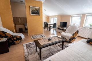 Apartman Lenka Lux - Aranđelovac - 2