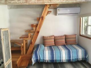 No Estamos Locos - 1