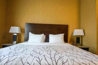 Best Western Plus South Edmonton Inn & Suites - Edmonton - 2