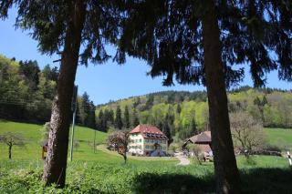 Offenburger Hof - Schuttertal - 5
