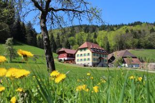 Offenburger Hof - Schuttertal - 0