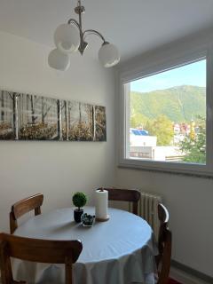 Apartman “ Ismar “ - Travnik - 1