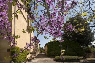 Relais Della Rovere - Colle di Val d'Elsa - 3