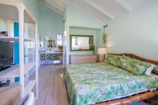Modern Island Home - Princeville - 2