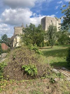 La Maison du Donjon - Gites de 8 personnes, parking privé avec jardin terrasse - Loches - 1