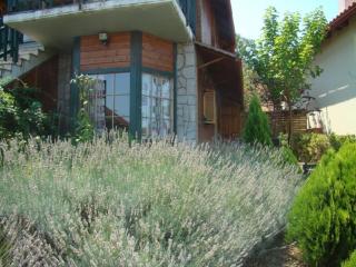 Zeus-Village οικισμός φινλανδικών chalet με πισίνες & γυμναστήριο - Mólos - 7