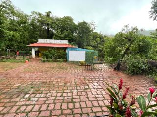 Hornbill homestay - Pendur - 5