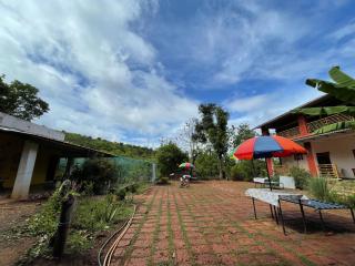 Hornbill homestay - Pendur - 1