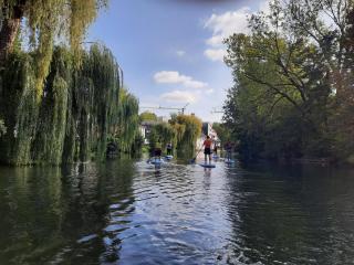 Yoga Atelier Vaihingen Enz - Vaihingen an der Enz - 1