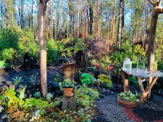 Exotic Garden cottage at amazing volcano fissure - Mountain View - 9