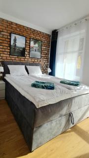 Apartamenty Dębowa 3 - Polanica-Zdrój - 6