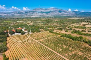 Tosic Estate - Villa, Vineyards and Winery - Razvođe - 5
