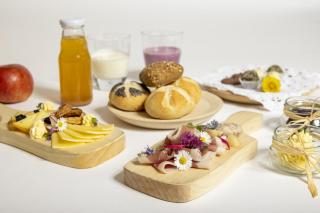 Chalet Orlica Velika Planina - 5