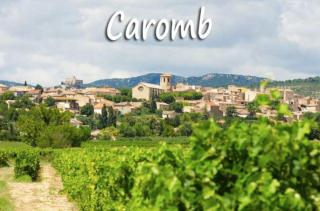 Belle maison provençale au pied du Mont Ventoux - Caromb - 7