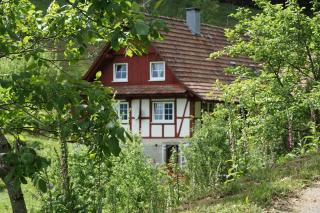 Haus Wiesenruhe - 7