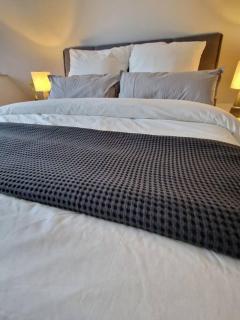 Voll ausgestattetes 2 Zimmer Apartment Sanssouci - Osnabrück - 9