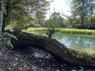 Artemis plitvice - 7