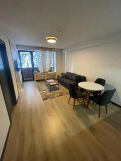 Kokhta Mitarbi Apartment - Bakoerjani - 6