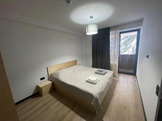 Kokhta Mitarbi Apartment - Bakoerjani - 1