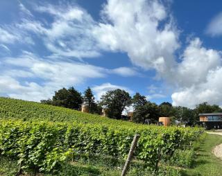 Cabanes avec jacuzzi les pieds dans la vignes - - 1