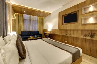 Town Pallace Inn - Hotel in New Delhi - Neu-Delhi - 5