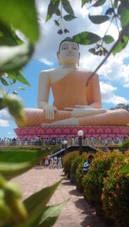 Coco Bay - Beruwala - 9