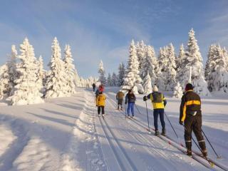 Holiday Home Hůrka by Interhome - 8