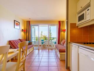 Apartment Les Terrasses d'Arcangues-5 by Interhome - Arcangues - 3