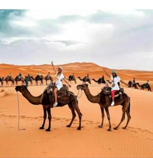 Merzouga Luxury Dunes Camp - 9