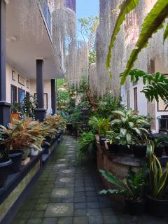 Double N Guesthouse Sanur Bali - Sanur - 9