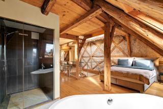 A&Y Oldtown Penthouse Loft Luzern - 3