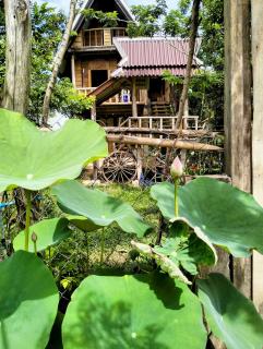 Banteay Srey Women's Only Traditional Spa and Homestay - Kampot - 9