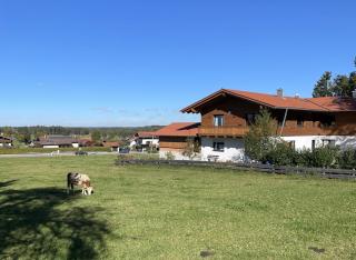 Ferienwohnung Zum Lenei - Staudach-Egerndach - 2