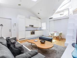 apartamento de diseno de lujo en lavapies ALQUILER TEMPORAL - 1