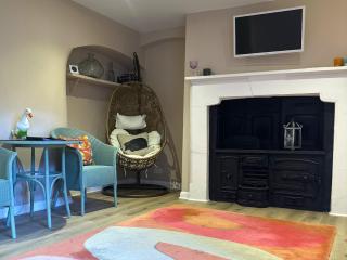 Unique Clifton apartment on historic crescent - Bristol - 7