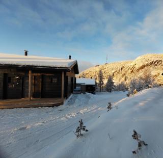 Rukan Tunturipöllö - 7