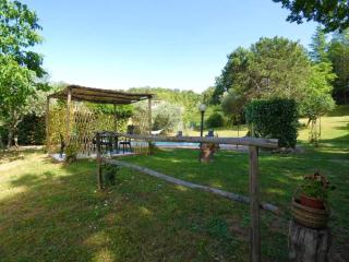 SCAPPO IN UMBRIA, La Casa nel bosco - Amelia - 5