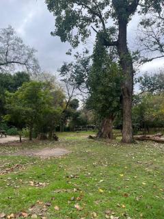 Posada del Bosque - 1