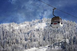 Plateau D - Mont-Tremblant - Mont-Tremblant - 7