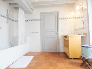 Gite genevieve d' aubin - Luxey - 3